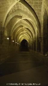 Monasterio de Piedra. Claustro. 