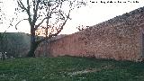 Monasterio de Piedra. Muralla Perimetral. 