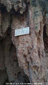 Parque Natural del Monasterio de Piedra. Gruta del Artista. 