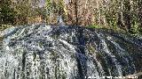 Parque Natural del Monasterio de Piedra. Los Arglides