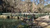 Parque Natural del Monasterio de Piedra. Las Pesqueras. 