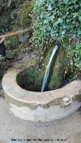 Parque Natural del Monasterio de Piedra. Fuente del Seor. 