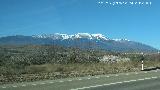 Moncayo