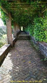 Mirador de la Avenida de las Minas. Paseo con prgola