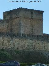 Castillo de los Guzmanes. Torre Noroeste. 