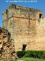 Castillo de los Guzmanes. Torre Suroeste. 