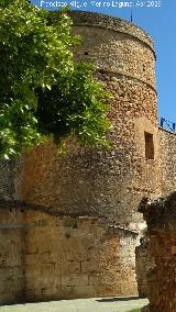 Castillo de los Guzmanes. Torre Circular Sur. 