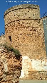 Castillo de los Guzmanes. Torre Circular Sur