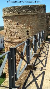 Castillo de los Guzmanes. Torre Circular Sur. Desde el adarve