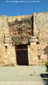 Castillo de los Guzmanes. Puerta del Castillo. 