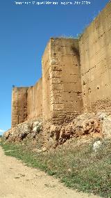 Muralla de Niebla. Torre Sur XIII. En primer lugar la torre sur XIII y al fondo la sur XII