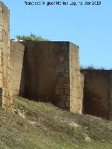 Muralla de Niebla. Torre Sur XII. 