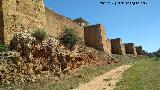 Muralla de Niebla. Torre Sur X. Situacin