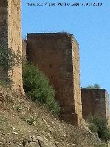 Muralla de Niebla. Torre Sur IX. 