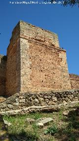 Muralla de Niebla. Torre Sur VII. 