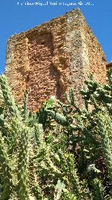 Muralla de Niebla. Torre Sur III. 