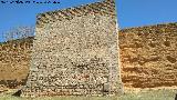 Muralla de Niebla. Torre Sur II. 