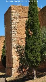 Muralla de Niebla. Torre Oeste II