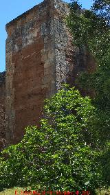 Muralla de Niebla. Torre Norte III. 