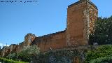 Muralla de Niebla. Torre Norte V. Situacin