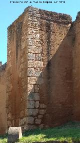 Muralla de Niebla. Torre Norte VII. 