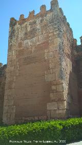 Muralla de Niebla. Torre Norte VIII. 