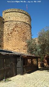 Castillo de los Guzmanes. Torre Circular Este. 