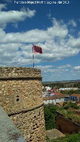 Castillo de los Guzmanes. Torre Circular Este. 