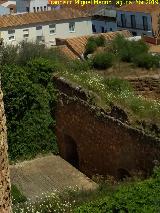 Castillo de los Guzmanes. Patio de la Barbacana. 