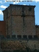 Castillo de los Guzmanes. Torre Cuadrangular Norte