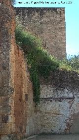 Castillo de los Guzmanes. Torre del Homenaje. 