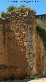 Muralla de Niebla. Torre Norte IX. 