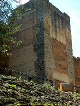 Muralla de Niebla. Torre Norte X. 