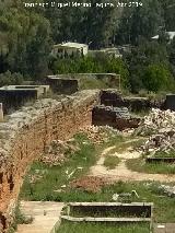 Muralla de Niebla. Torre Noreste. 