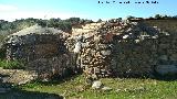 Bombos del Riscal. 