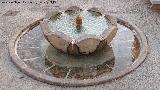Fuente del Psito