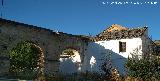 Molino del Rey
