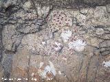 Pinturas rupestres de la Cueva de los Soles Abside II. Puntos