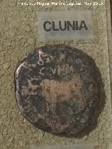 Clunia. As de Clunia ao 0. Cstulo. Museo Arqueolgico de Linares
