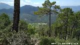 Cerro de la Laguna. Vistas hacia Linarejos