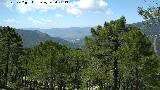 Cerro de la Laguna. Vistas hacia Orcera