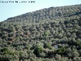 Cortijo de Vertederas. Situacin