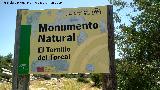 Torcal de Antequera. El Tornillo del Torcal. Cartel