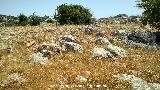 Torcal de Antequera. Lapiaz Agrio del Caracol. 