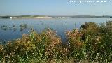 Laguna Dulce