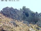 Cerro de la Fuente o Susana. Abrigos