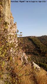 Aldea San Isidro. Desde el Cerro Cerrajo