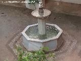 Carmen de los Mrtires. Fuente Pequea de las Palmeras. 