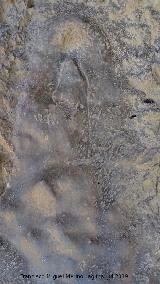 Petroglifos rupestres del Abrigo de la Tinaja VI