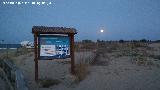 Playa de Carabass. 